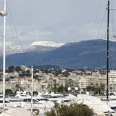 Les Mouettes Palm Beach Cannes